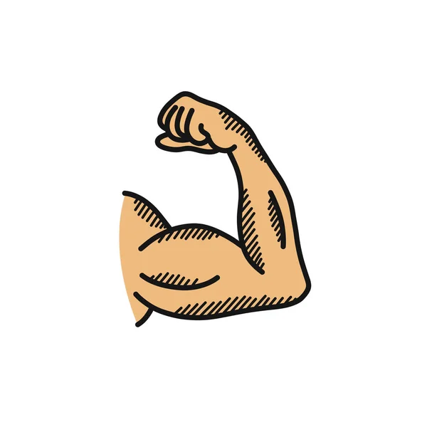 Biceps Doodle Ikon Handritad Vektor Illustration — Stock vektor