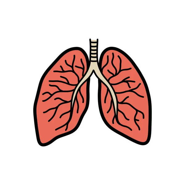 Nsan Ciğerleri Karalama Simgesi Vektör Illüstrasyonu — Stok Vektör