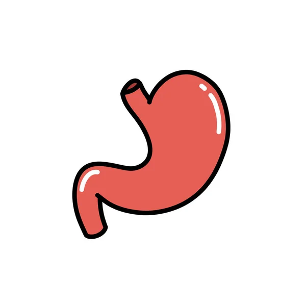 Estómago Humano Garabato Icono Vector Ilustración — Vector de stock