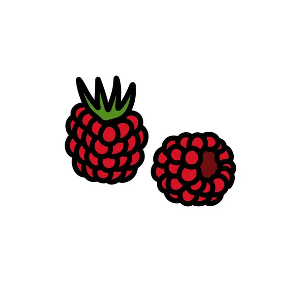 Himbeeren Doodle Symbol Vektorillustration — Stockvektor