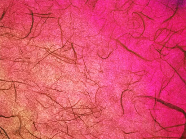 Soyut renkli sonbahar yeşil dut kağıdı el yapımı, açık renkli sevgililer günü kartı arka plan, doku ve yaratıcı sanat şekli, sahne arkası sanatsal, aşk kartı