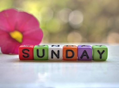 Beyaz masa üzerinde pembe petunya çiçeği ve bokeh bulanık yeşil bahçe arkaplanı ile Pazar alfabesi renkli kelime, yaratıcı kart tasarımı için mutlu sabah, tatlı renk, taze sabah günü