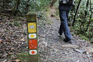 Bidjigal Rezervi, Sydney, NSW, Avustralya