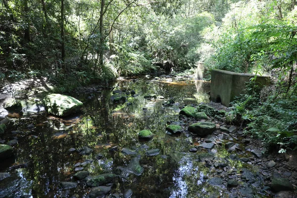 Bidjigal Rezervi, Sydney, NSW, Avustralya