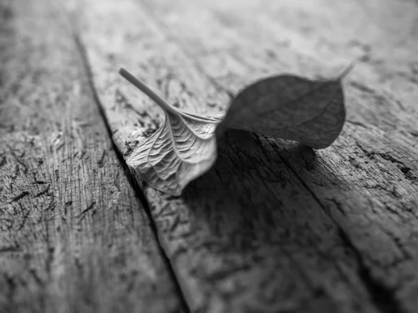 Black White Image Leaf Wood Background Broken Heart Concept — Stock Photo, Image