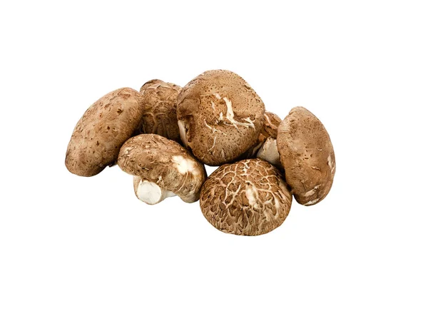 Champignon Shiitake Isolé Sur Fond Blanc Aliments Crus Pour Santé — Photo