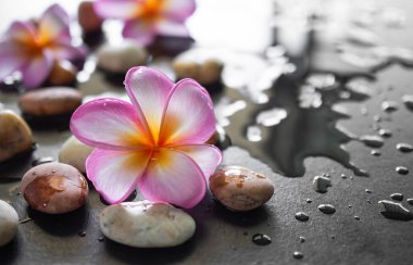 Plumeria çiçekleri aromaterapi spa seti, çakıl taşları, tahta bulanık arka plan..