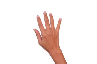 El kadını beyaz arka planda izole edilmiş.