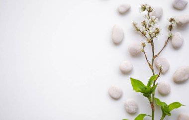 Aromaterapi spa seti. Taşın üzerindeki çiçekler ya da beyaz ahşap üzerindeki çakıl taşları. Üst görünüm ya da düz görünüm kopyalama alanı ile. Oteldeki lüks banyo ya da masaj seti için. sağlık dinlenme günü.
