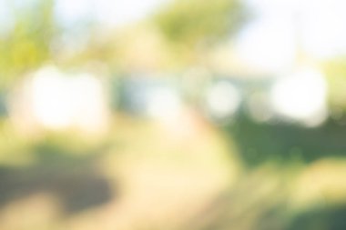 Yaz arkaplanı için yeşil bulanık bokeh özeti.