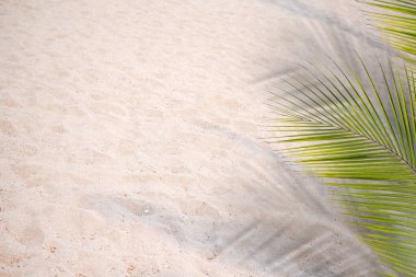 Hindistan cevizi yaprakları ya da deniz kıyısındaki kumsalda gölgeli yeşil palmiye yaprakları. Turist seyahati tropik yaz tatili doğa konsepti. kopyalama alanı olan düz ya da üst görünüm.