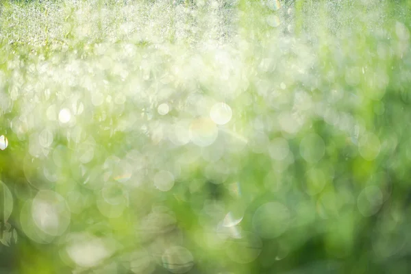 Bokeh Kropla Rosy Trawie Światłem Słonecznym Jest Bokeh Kropla Wody — Zdjęcie stockowe