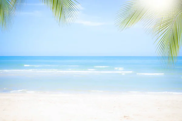 Sand Beach Soft Wave Coconut Palm Leaves Coast Blue Sea — Stock Photo, Image