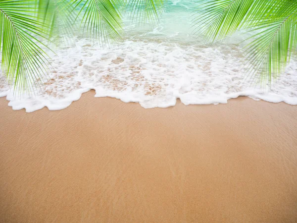 White Foam Wave Sea Leaves Palm Sand Beach Background Coast — Stock Photo, Image