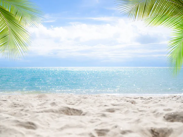Sand Beach Leaves Palm Coast Blur Bokeh Blue Sea Blue — Stock Photo, Image