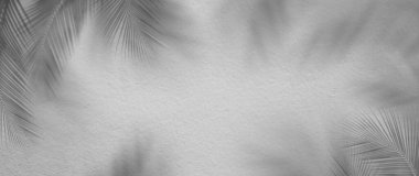 Gölge yapraklı gri beton duvar dokusu. Palmiye ya da hindistan cevizi arkaplan. sert inşaat arkaplanı. boş malzeme yüzey görüntüsü. Turist seyahati için doğal yaz tatili..