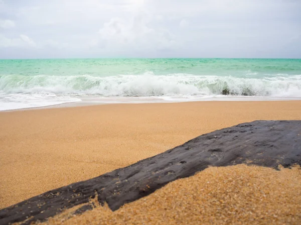 Sandstrand Mit Baumstamm Und Sanfter Welle Der Küste Und Blauem — Stockfoto