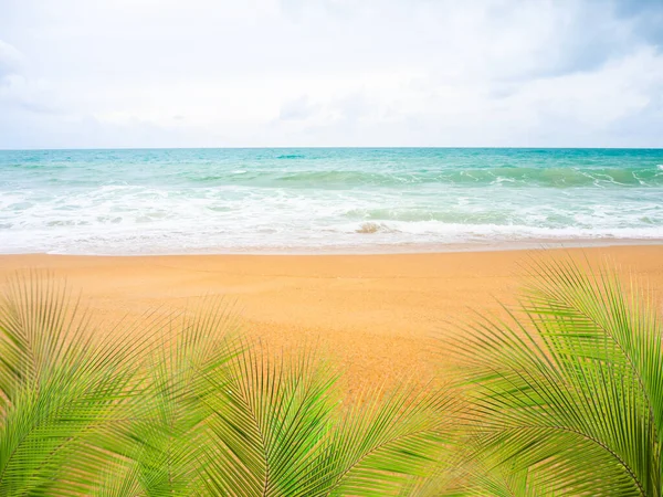 Palmen Oder Kokosblätter Mit Blauem Meer Und Blauem Himmel Mit — Stockfoto