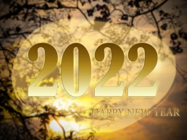 Vrolijk Kerstfeest Gelukkig Nieuwjaar 2022 Concept Tekst Schemering Hemel Met — Stockfoto