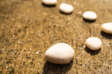 Zemin çimento üzerinde çakıl taşı zeni. Meditasyon sükuneti hala dengede Budizm dini ya da aroma terapisi spa seti konseptini gevşetin.