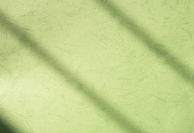 Yeşil Gölge Soyut Arkaplan Yaprak Doğal Çimento Duvarı Zemin Mozaiği Bej Makyaj Yazı Kozmetik Doğası Sunum Şablonu Eko Şablonu Ortam.