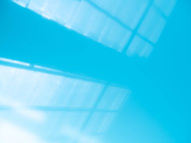 Mavi Işık Özeti Yaz Güneşi Gölgesi Yaprak Beyaz Renk Bulanık Odası Zemin Çimento Duvarı Sahne Arkaplanı Güzellik Kozmetik Sunumu Minimum Boş Kart Tropikal