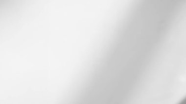 Gölge Arkaplan Arkaplanı Ayrıntılı Duvar Işığı Efekti Beyaz Bitki Arka Planı Moda Minimum Baharı Gri Görüntü Görüntü Şablonu Poster Kartı.