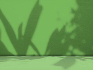 Yeşil Gölge Arkaplan Stüdyo Odası Fotoğraf Boş Gradyan Yaprak Döşeme Duvarı Kubbe Tasarım Yüzey Dokuma Podyumu Sahne Moda Ürün Makyajı Kozmetik Güzellik Gösterimi Stand Sahnesi.