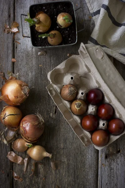 Huevos de Pascua ecológicos — Foto de Stock