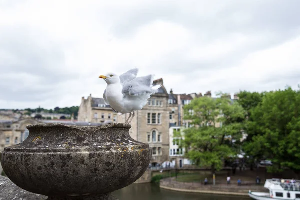 Heykelin üzerinde bir martı