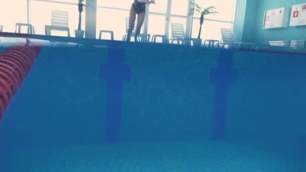 Profesional nadador hembra saltando en la piscina — Vídeos de Stock