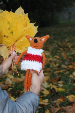 Sonbahar yapraklarının arka planında örülmüş oyuncak tilki, Beyaz Rusya bayrağının rengi.