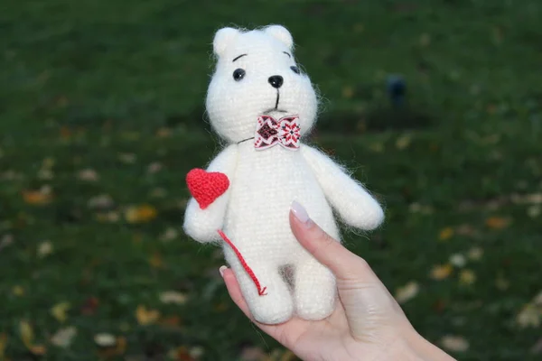 Knitted toy bear on a background of autumn leaves