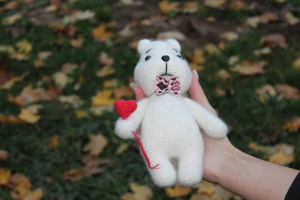 Knitted toy bear on a background of autumn leaves