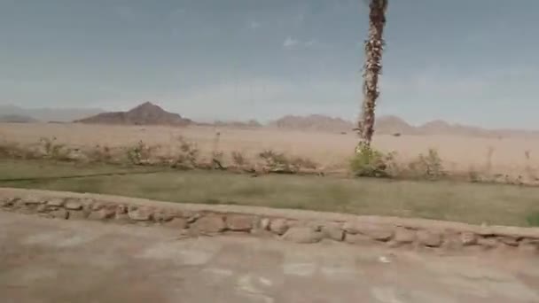 Egito Sharm Sheikh Fevereiro 2020 Vista Ônibus Para Montanhas Estrada — Vídeo de Stock