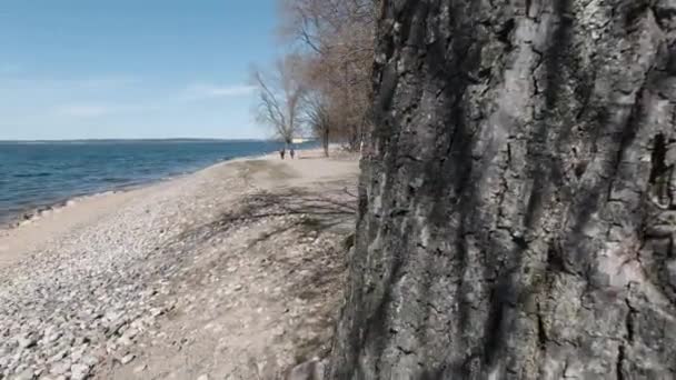 Pohled na skalnatou pláž Minského moře zpoza stromu — Stock video