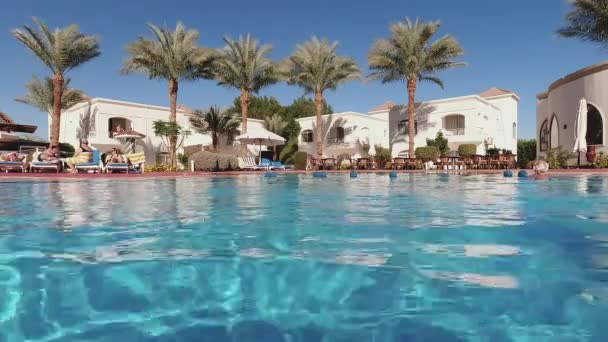 Egypt, Sharm El Sheikh - 02-07-2020: bazén s modrou průzračnou vodou v hotelu a zelené palmy — Stock video