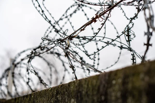 Barbed wire on a concrete fence against a grey sky — Stock Photo, Image