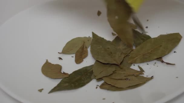 Las hojas de laurel se vertían en un plato blanco con el condimento deseado — Vídeos de Stock