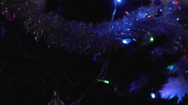 크리스마스 트리의 근접 조명이 다른 속도로 반짝이고 있습니다. — 비디오