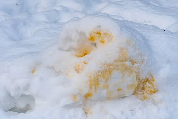 Close-up van honden gele plas handtekening op witte sneeuw — Stockfoto