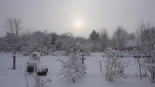 雪に覆われた幻想的な、冬の自然、冬の曇りの空 — ストック動画