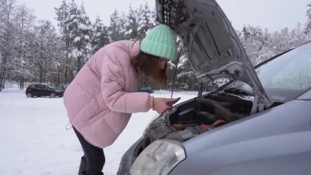 Γυναίκα λάμπει τηλέφωνα κάτω από το καπό ενός χαλασμένου αυτοκινήτου το χειμώνα. Κορίτσι που φτιάχνει ένα αυτοκίνητο το χειμώνα — Αρχείο Βίντεο