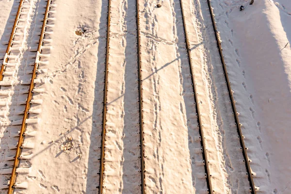 Treinrails, rails in de sneeuw bij zonsondergang — Stockfoto