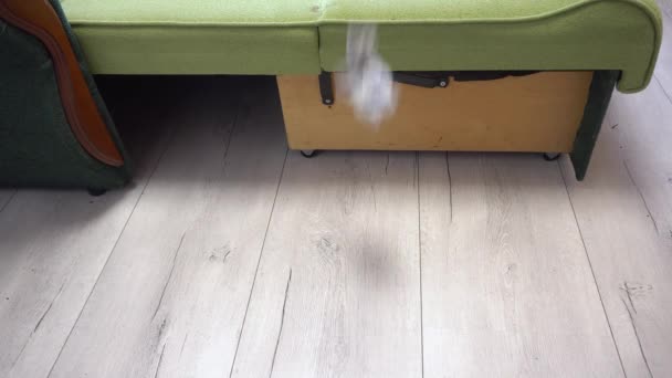 Schmutzige Socken fallen unter das Bett und auf den Boden, schnelles Wechseln, das Paar vermisst einander — Stockvideo