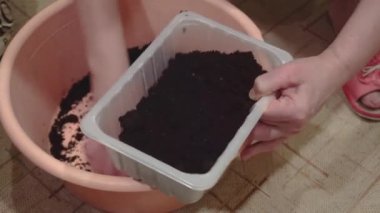 Tohum ekmek için tencereye siyah toprak döken bir kadın.
