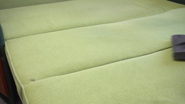 Καθαρισμός κενού πράσινος καναπές βρώμικος με γούνα κατοικίδιου ζώου, ρουτίνα οικιακών εργασιών — Αρχείο Βίντεο