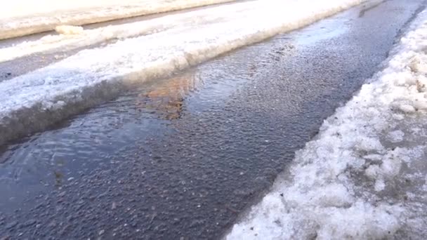Strumień wiosny płynie wzdłuż rutyny samochodu, śnieg topnieje — Wideo stockowe