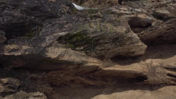 Protección del medio ambiente, flujos de agua sobre piedra, glaciares se derriten en primavera — Vídeo de stock