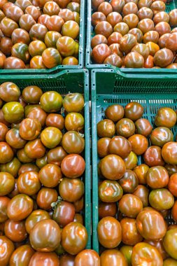 Markette siyah domates, yaban domuzları Fransız siyah domatesi.